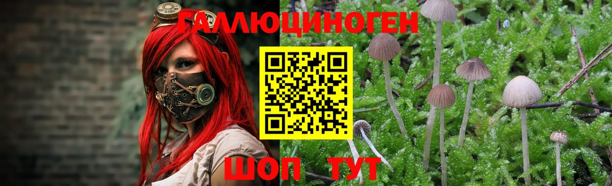 Похвистнево  Галлюциногенные грибы Magic Shrooms  Вход с VPN 